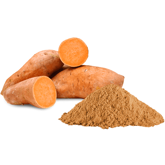 Sweet Potato Powder – Agritrade